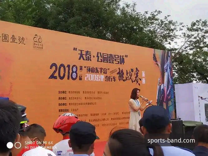 半岛体育赛事回放怎么用？一份完整的使用指南